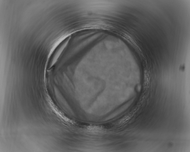 X0000115610788200912011550