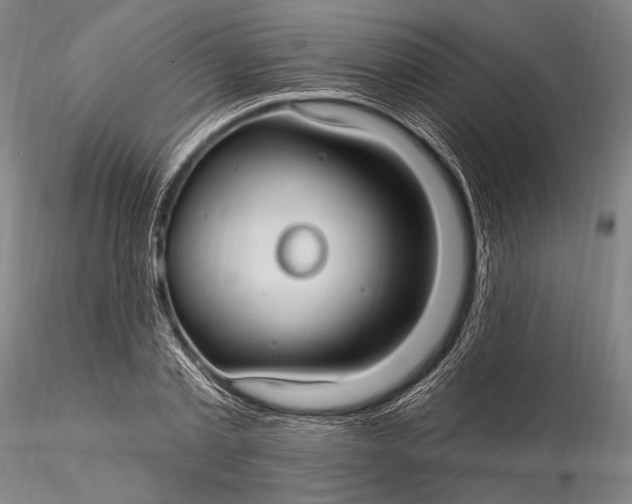 X0000115610789200912011550