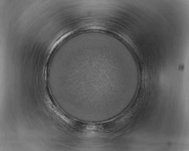 X0000115610790200912011550