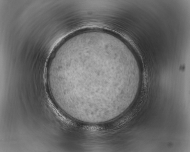 X0000115610791200912011550