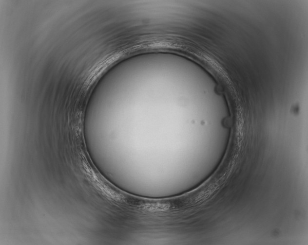 X0000115610793200912011550