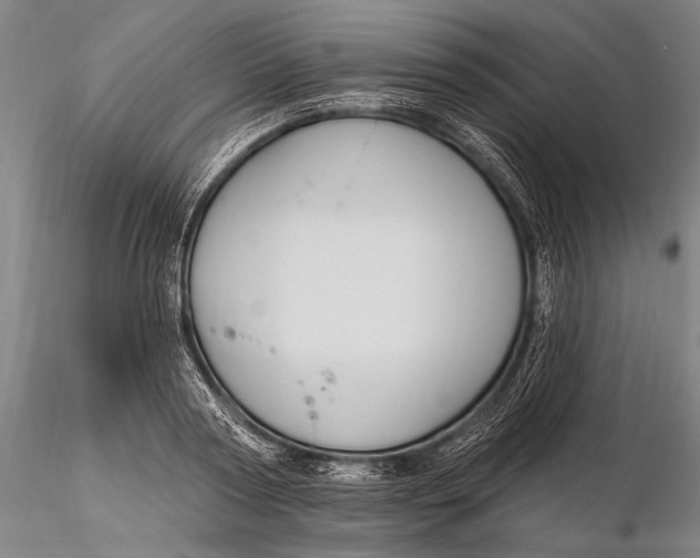 X0000115610794200912011550