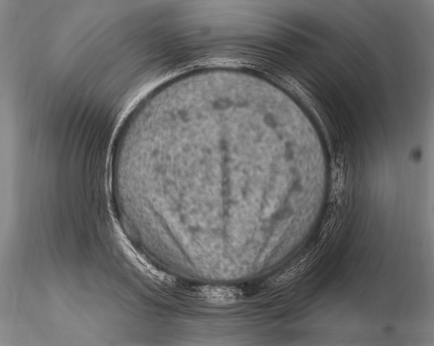 X0000115610795200912011550