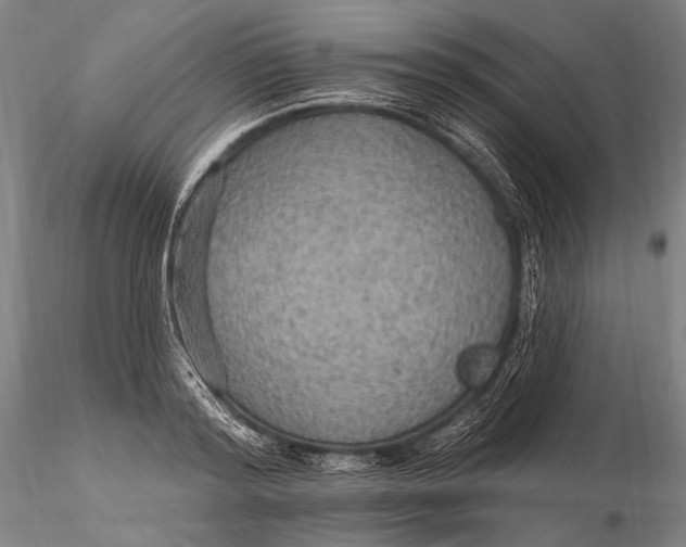 X0000115610796200912011550