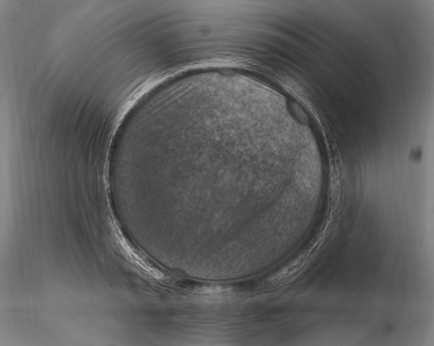 X0000115610797200912011549