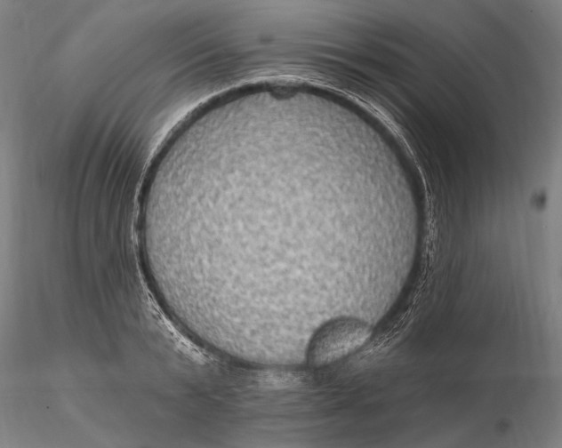 X0000115610799200912011549