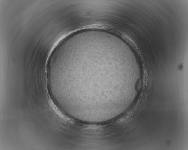 X0000115610800200912011549