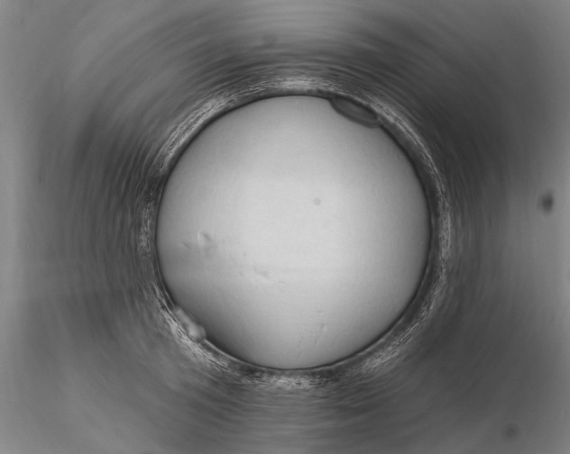 X0000115610801200912011549