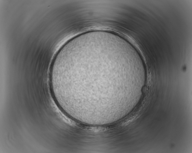 X0000115610803200912011549