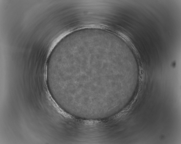 X0000115610804200912011549