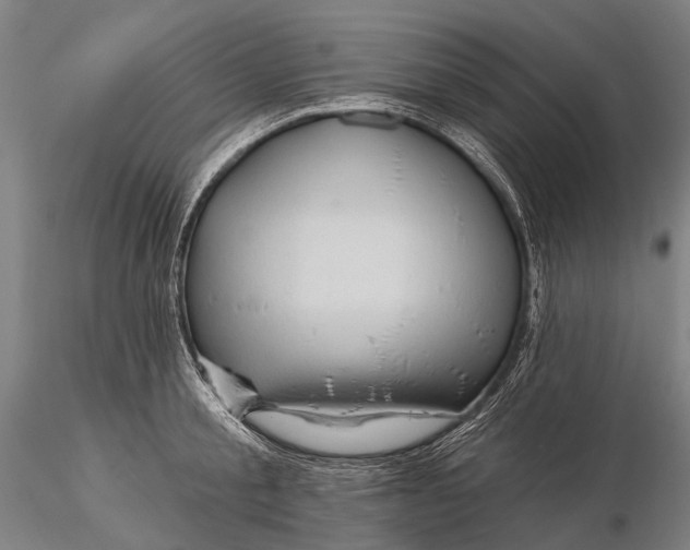 X0000115610805200912011549