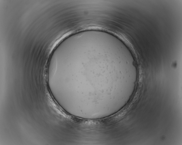 X0000115610806200912011549