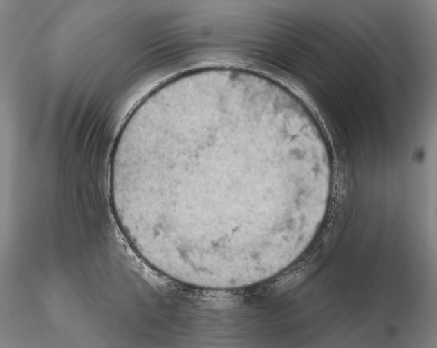 X0000115610807200912011549