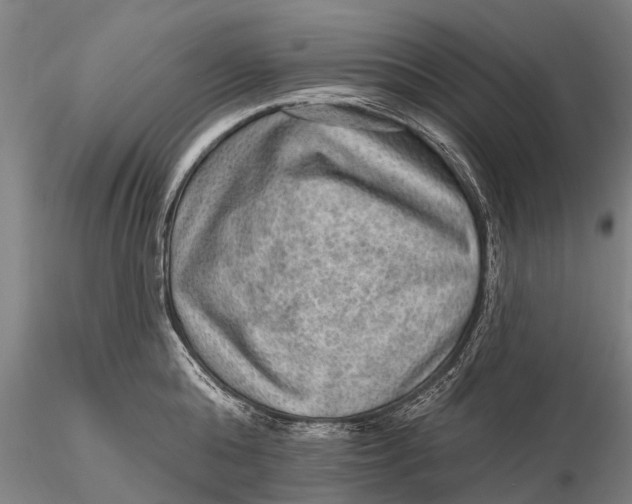 X0000115610808200912011549