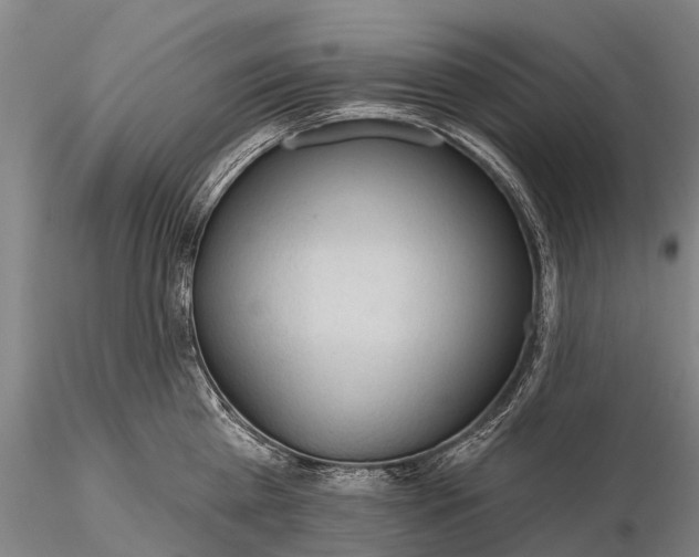 X0000115610809200912011549