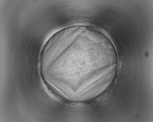 X0000115610811200912011549