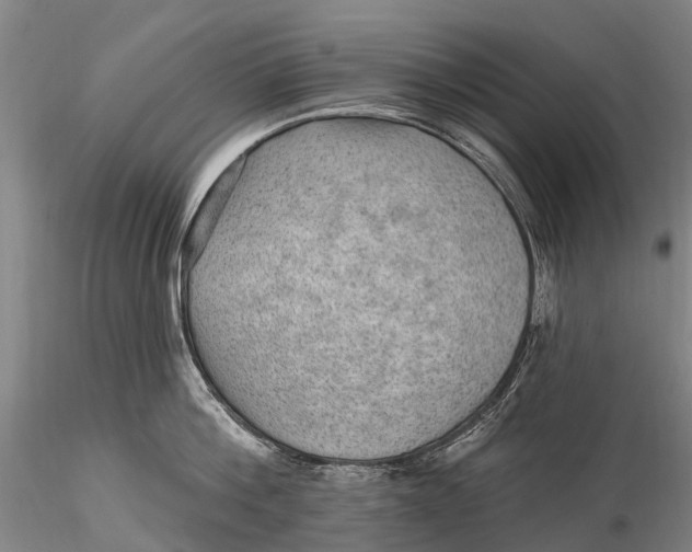 X0000115610812200912011549