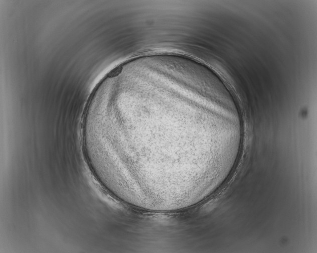 X0000115610814200912011549