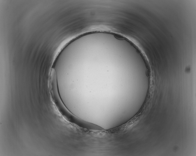 X0000115610815200912011549