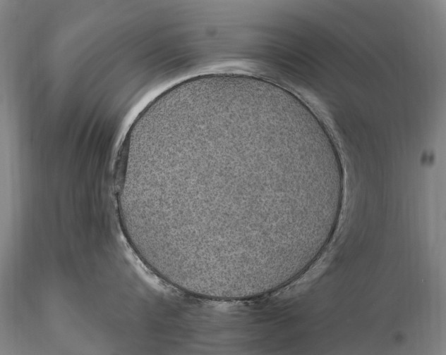 X0000115610816200912011549
