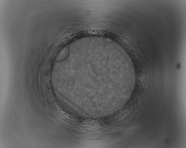 X0000115610817200912011548