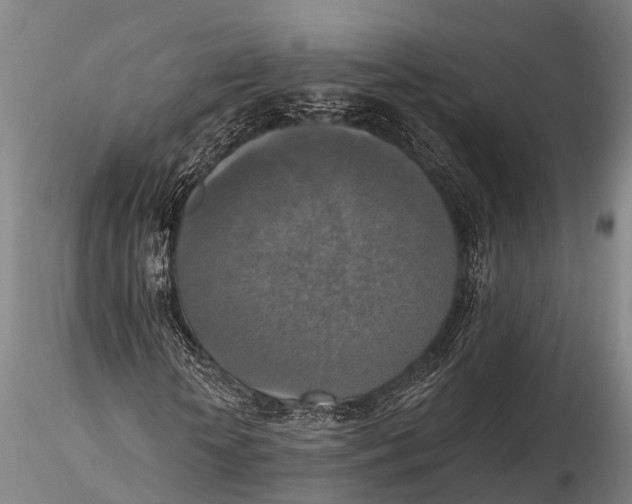 X0000115610818200912011548