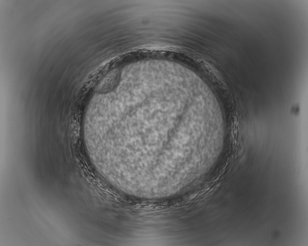 X0000115610821200912011548