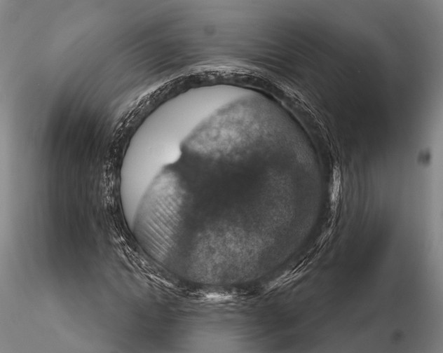 X0000115610822200912011548