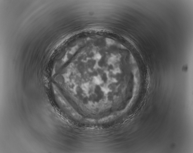 X0000115610823200912011548