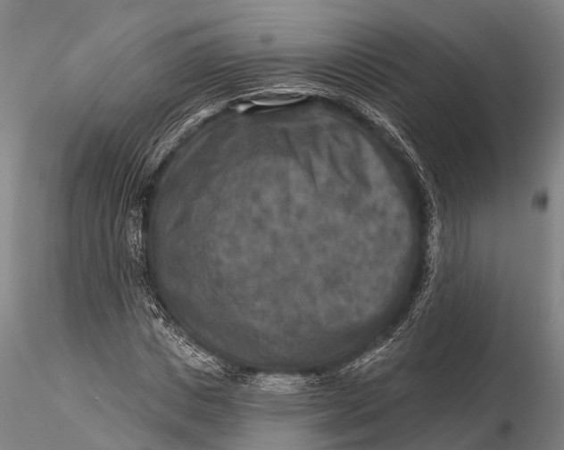 X0000115610825200912011549