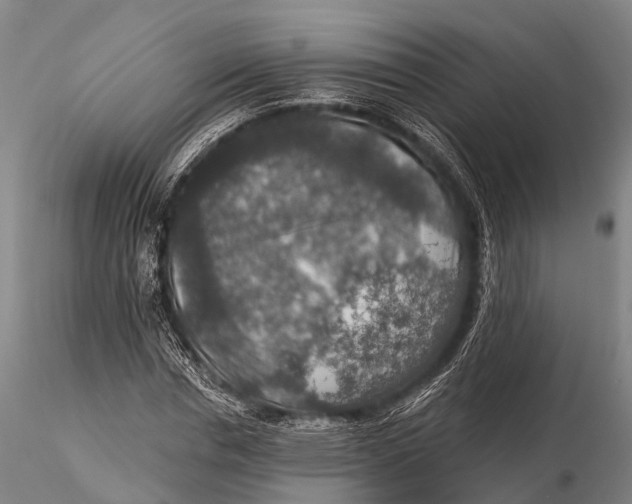X0000115610826200912011549