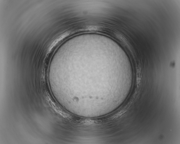 X0000115610827200912011549