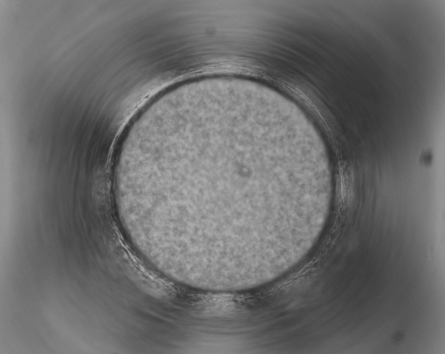 X0000115610828200912011549