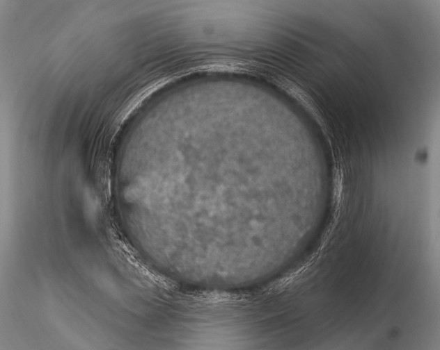 X0000115610829200912011549