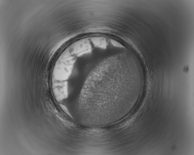 X0000115610830200912011549