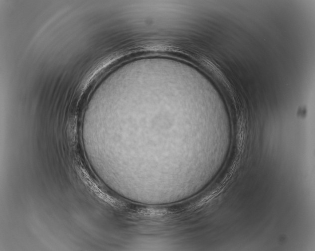X0000115610831200912011549