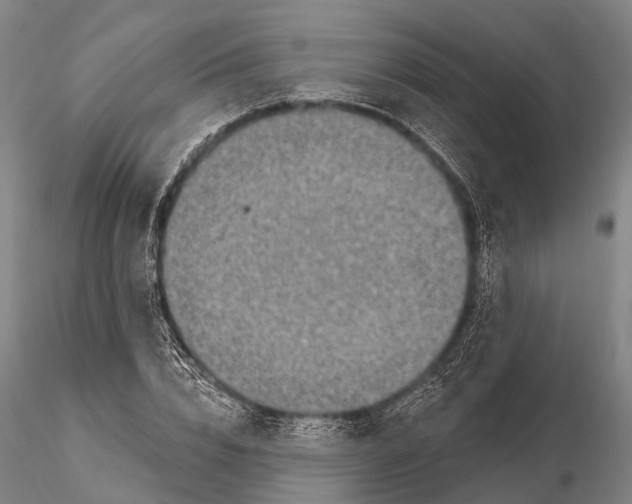 X0000115610832200912011549
