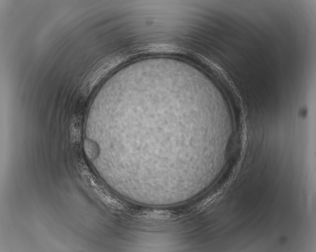 X0000115610833200912011549