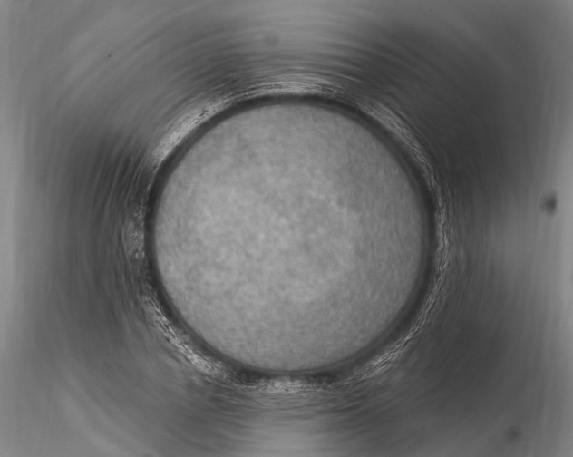 X0000115610834200912011549