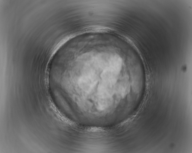 X0000115610835200912011549