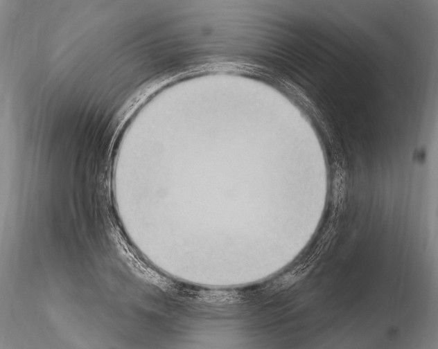 X0000115610836200912011549