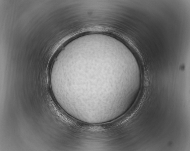 X0000115610837200912011549