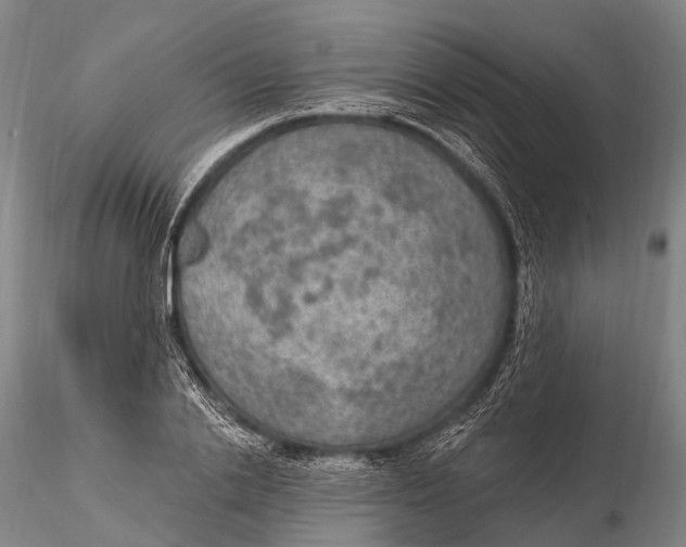 X0000115610838200912011549