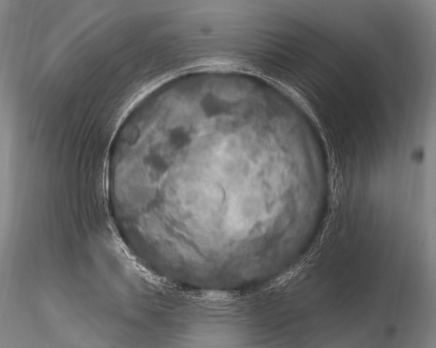 X0000115610839200912011549