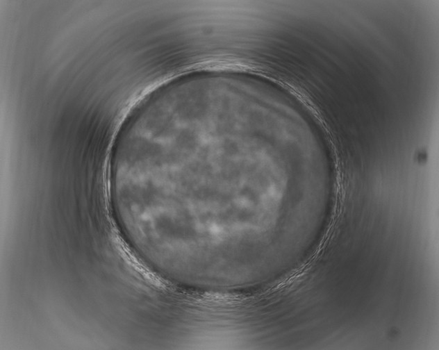 X0000115610840200912011549