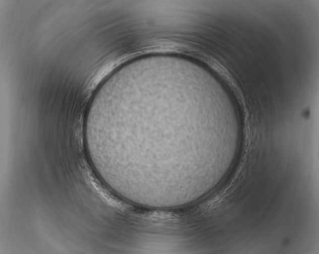 X0000115610842200912011549