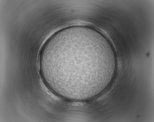 X0000115610843200912011549