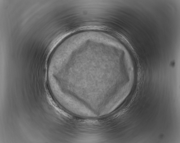 X0000115610844200912011549