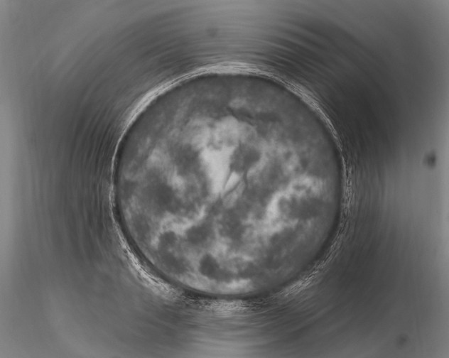 X0000115610845200912011549