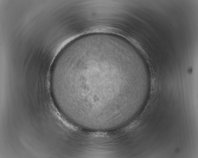X0000115610846200912011549